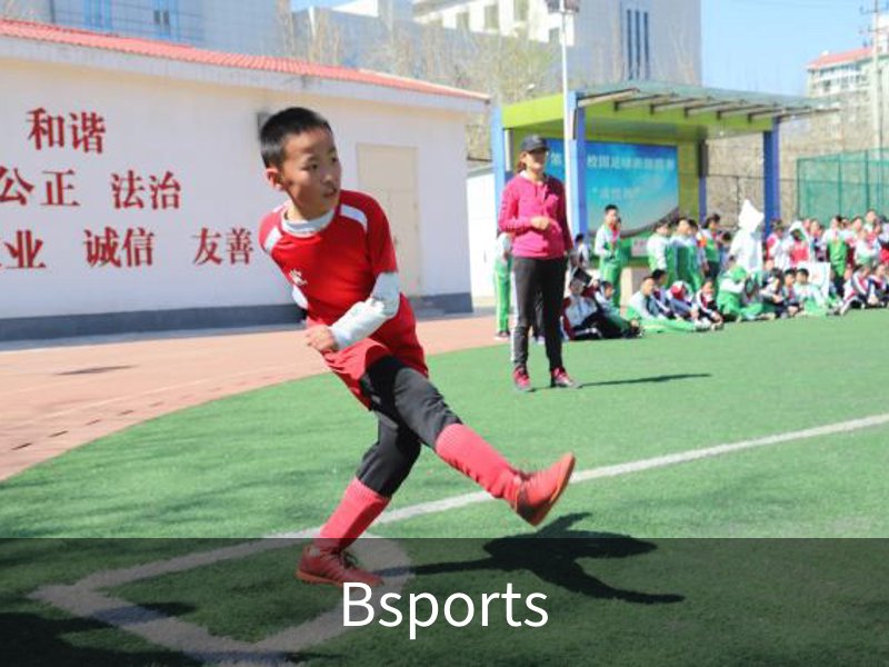 了解Bsports